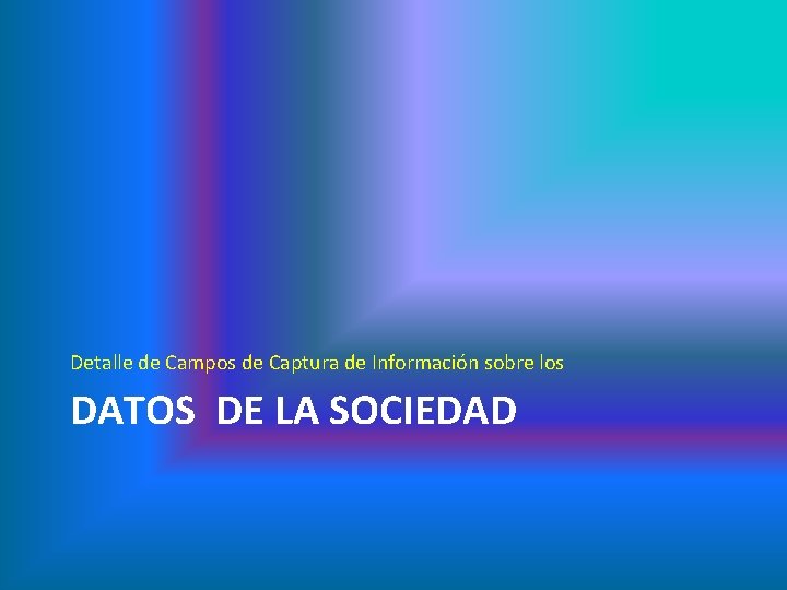 Detalle de Campos de Captura de Información sobre los DATOS DE LA SOCIEDAD 