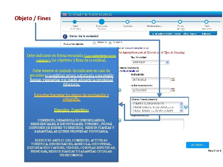 Objeto / Fines Debe indicarse en forma resumida (240 caracteres como máximo), los objetivos