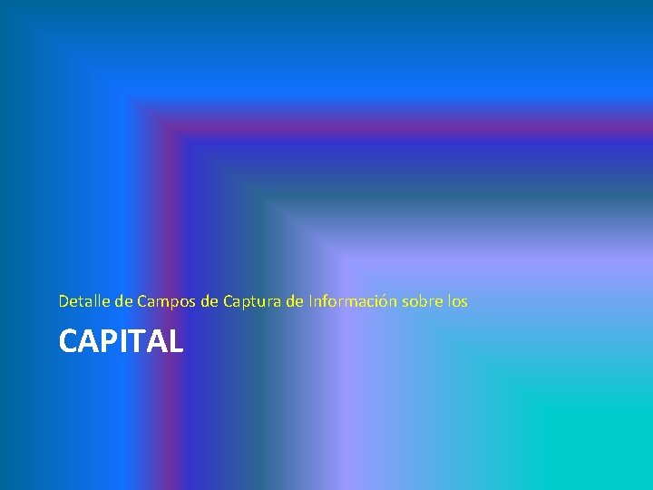 Detalle de Campos de Captura de Información sobre los CAPITAL 