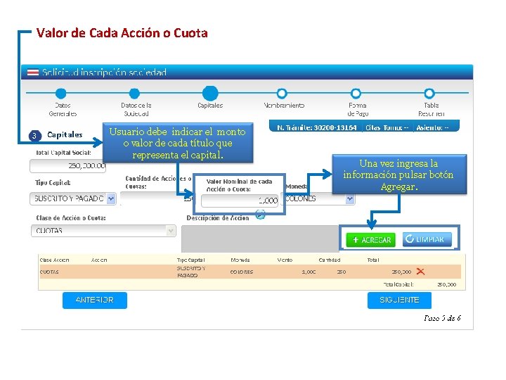 Valor de Cada Acción o Cuota Usuario debe indicar el monto o valor de