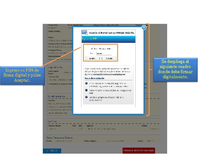 Ingrese su PIN de firma digital y pulse Aceptar. Se despliega el siguiente cuadro