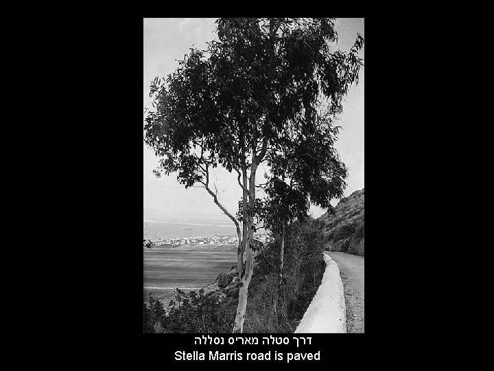  דרך סטלה מאריס נסללה Stella Marris road is paved 