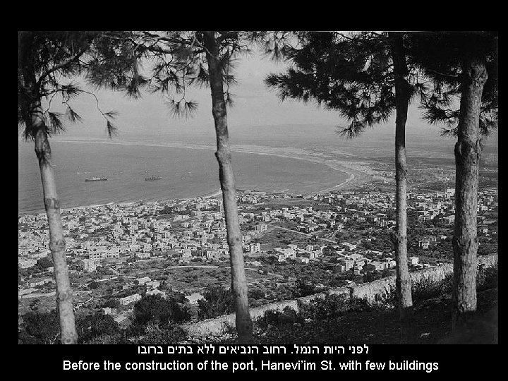  רחוב הנביאים ללא בתים ברובו. לפני היות הנמל Before the construction of the