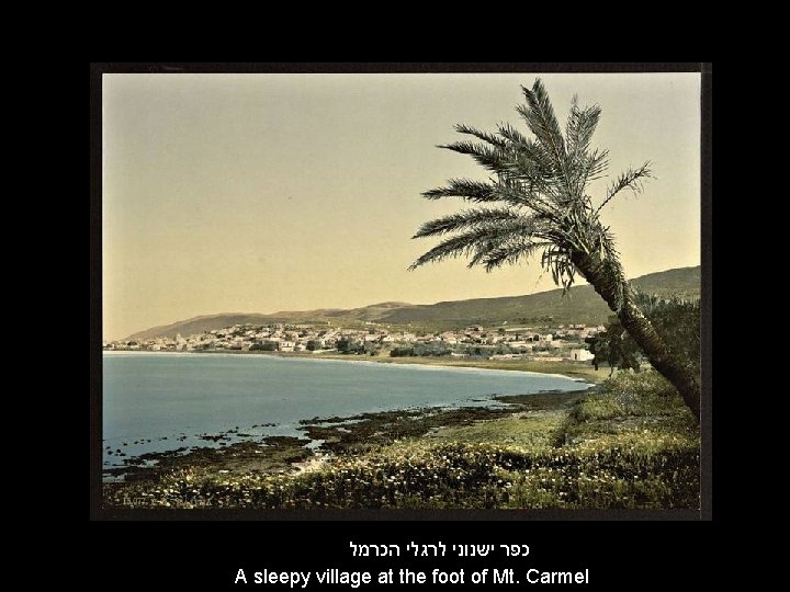  כפר ישנוני לרגלי הכרמל A sleepy village at the foot of Mt. Carmel