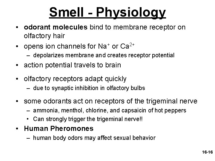 Smell - Physiology • odorant molecules bind to membrane receptor on olfactory hair •