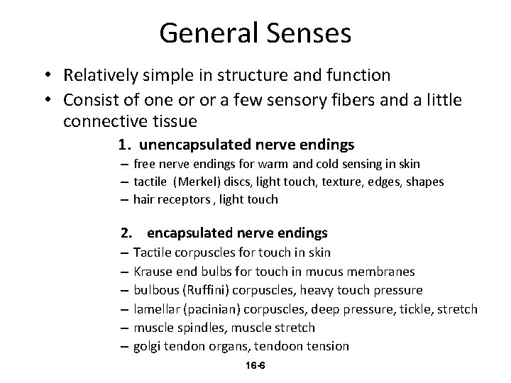 General Senses • Relatively simple in structure and function • Consist of one or