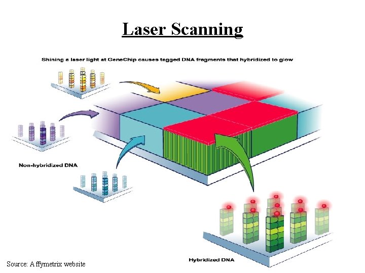 Laser Scanning Source: Affymetrix website 