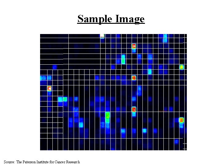 Sample Image Source: The Paterson Institute for Cancer Research 