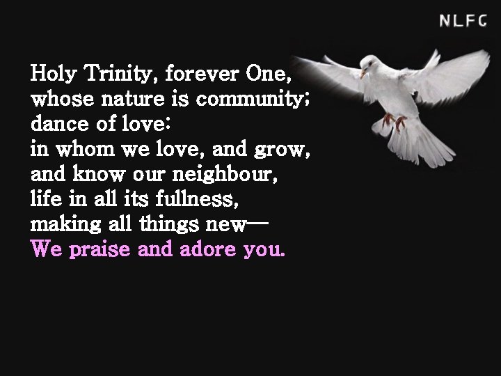 Holy Trinity, forever One, whose nature is community; dance of love: in whom we