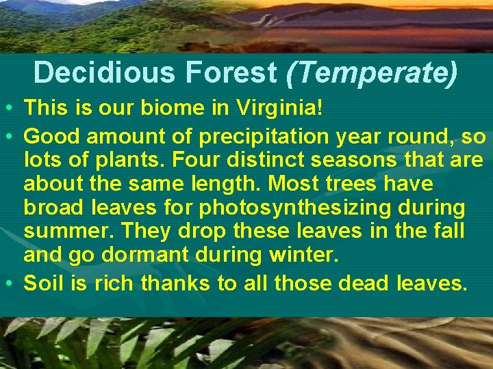 Decidious Forest (Temperate) • This is our biome in Virginia! • Good amount of