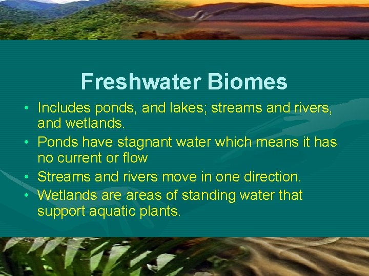 Freshwater Biomes • Includes ponds, and lakes; streams and rivers, and wetlands. • Ponds