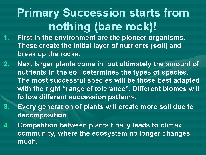 Primary Succession starts from nothing (bare rock)! 1. 2. 3. 4. First in the