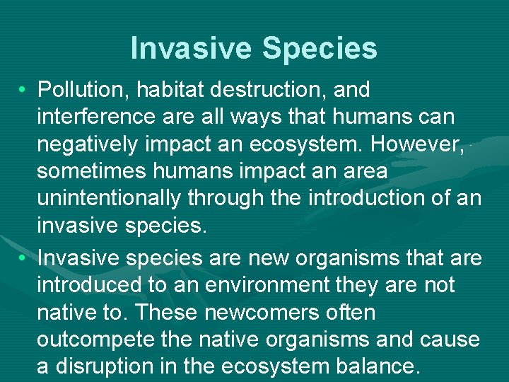 Invasive Species • Pollution, habitat destruction, and interference are all ways that humans can