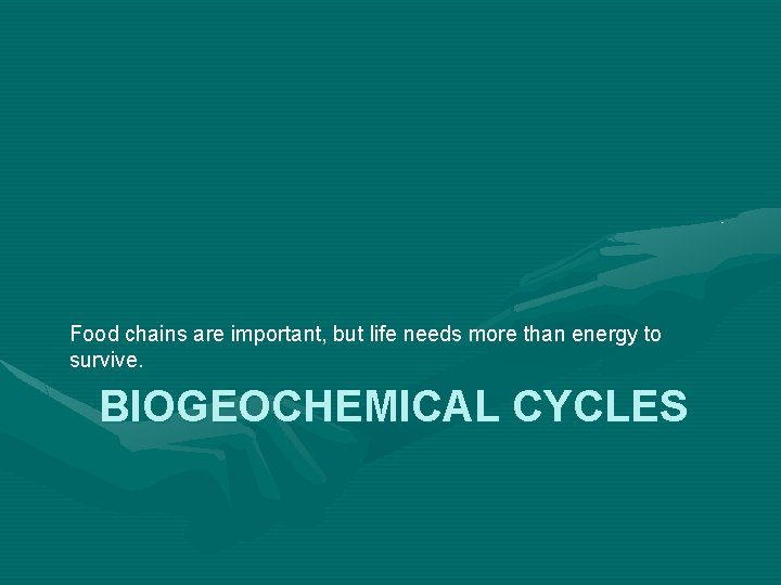 Food chains are important, but life needs more than energy to survive. BIOGEOCHEMICAL CYCLES