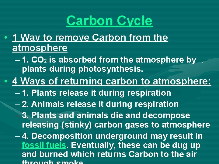 Carbon Cycle • 1 Way to remove Carbon from the atmosphere – 1. CO