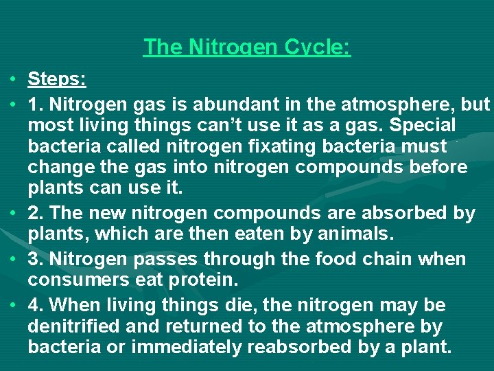 The Nitrogen Cycle: • Steps: • 1. Nitrogen gas is abundant in the atmosphere,