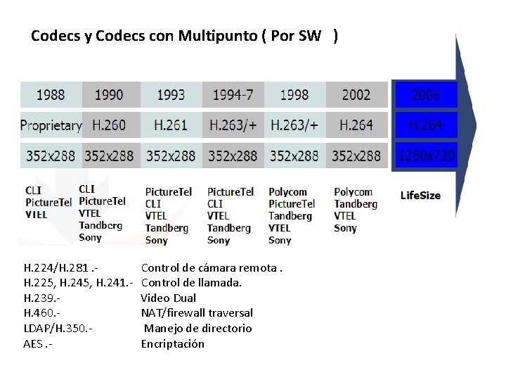 Codecs y Codecs con Multipunto ( Por SW ) H. 224/H. 281. H. 225,