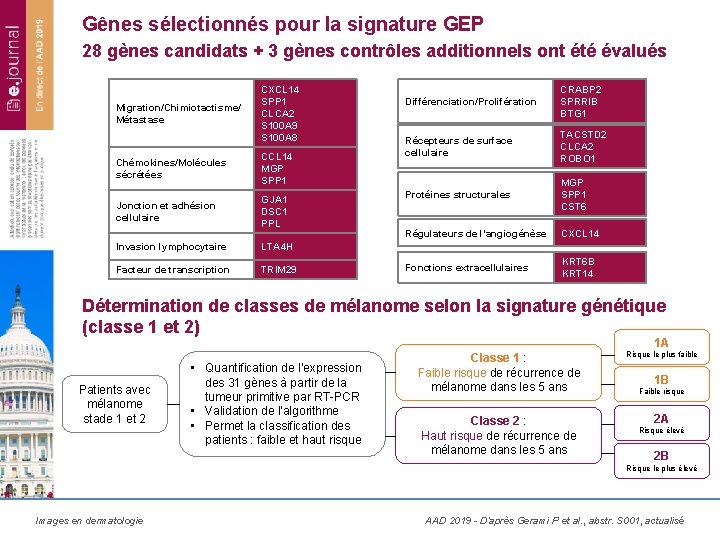 Gênes sélectionnés pour la signature GEP 28 gènes candidats + 3 gènes contrôles additionnels