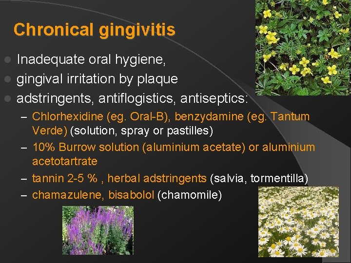 Chronical gingivitis Inadequate oral hygiene, l gingival irritation by plaque l adstringents, antiflogistics, antiseptics: