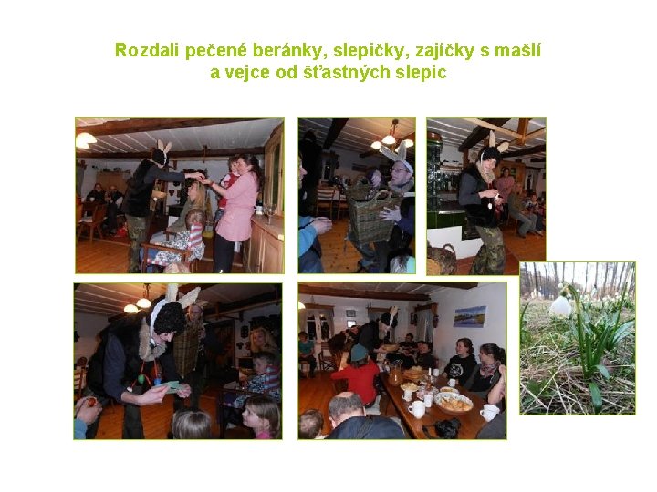 Rozdali pečené beránky, slepičky, zajíčky s mašlí a vejce od šťastných slepic 