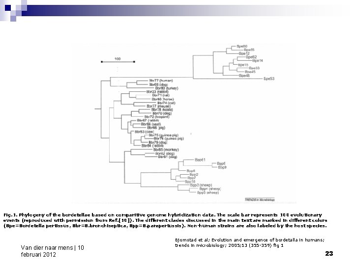 Fig. 1. Phylogeny of the bordetellae based on comparitive genome hybridization data. The scale