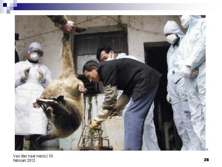 Van dier naar mens | 10 februari 2012 28 