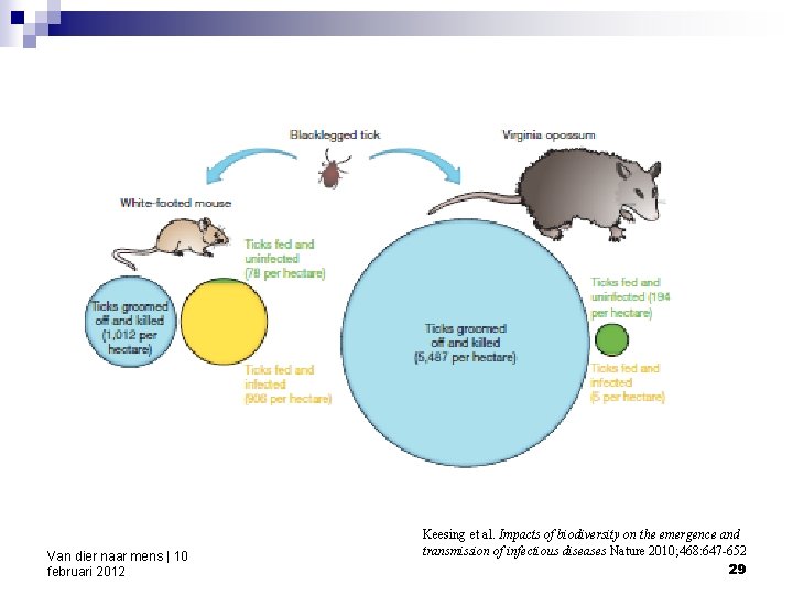 Van dier naar mens | 10 februari 2012 Keesing et al. Impacts of biodiversity