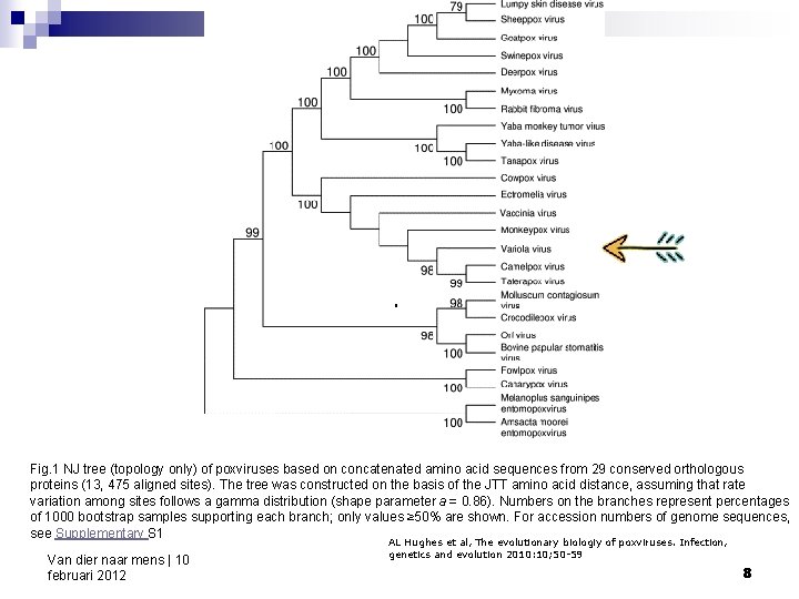 . Fig. 1 NJ tree (topology only) of poxviruses based on concatenated amino acid