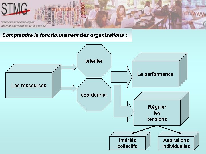 Comprendre le fonctionnement des organisations : orienter La performance Les ressources coordonner Réguler les