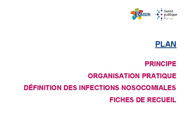 PLAN PRINCIPE ORGANISATION PRATIQUE DÉFINITION DES INFECTIONS NOSOCOMIALES FICHES DE RECUEIL 