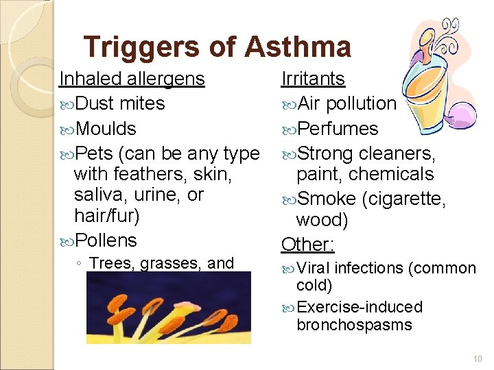 Triggers of Asthma Inhaled allergens Dust mites Moulds Pets (can be any type with