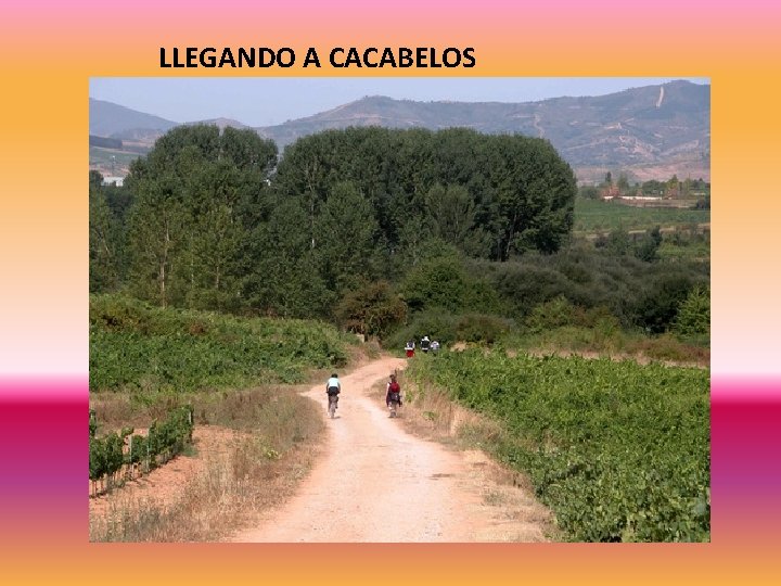 LLEGANDO A CACABELOS 