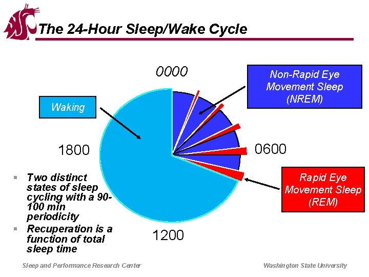 The 24 -Hour Sleep/Wake Cycle 0000 Waking 0600 1800 § Two distinct states of