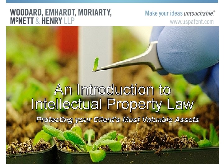 An Introduction to Intellectual Property Law Protecting your