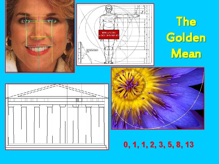 The Golden Mean 0, 1, 1, 2, 3, 5, 8, 13 