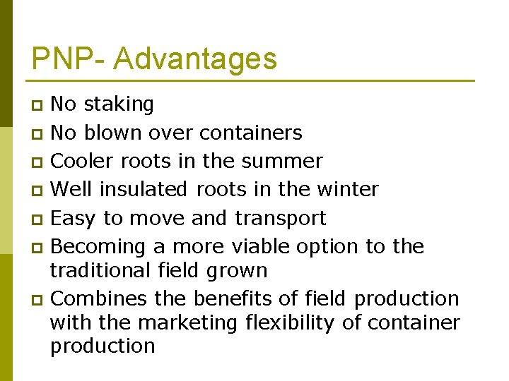 PNP- Advantages No staking p No blown over containers p Cooler roots in the