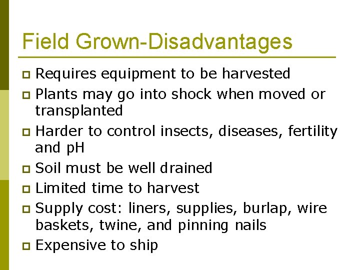 Field Grown-Disadvantages Requires equipment to be harvested p Plants may go into shock when