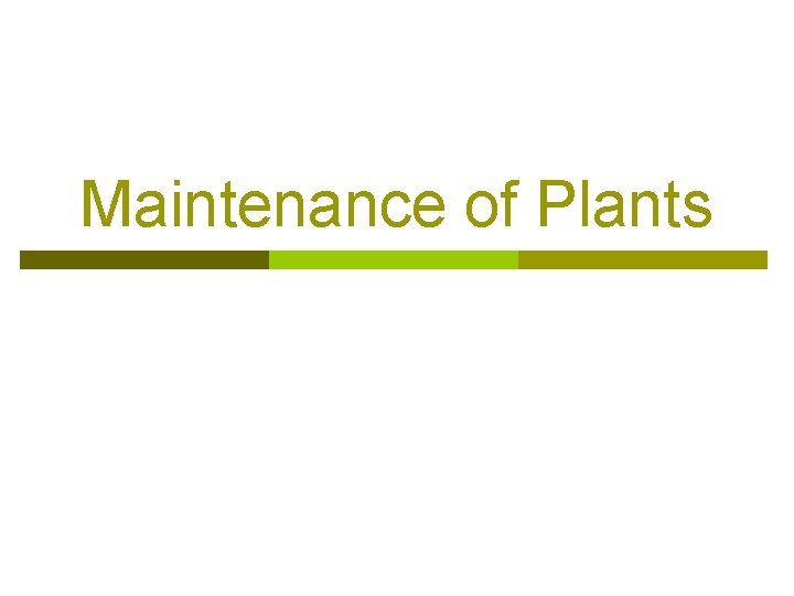 Maintenance of Plants 