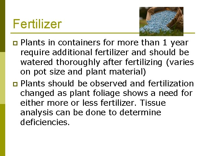 Fertilizer Plants in containers for more than 1 year require additional fertilizer and should