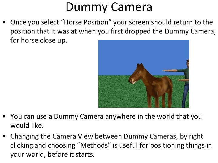 Dummy Camera • Once you select “Horse Position” your screen should return to the
