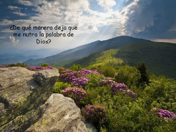 ¿De qué manera dejo que me nutra la palabra de Dios? 