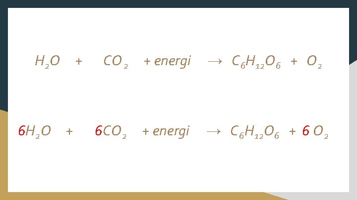 H 2 O 6 H 2 O + + CO 2 + energi →