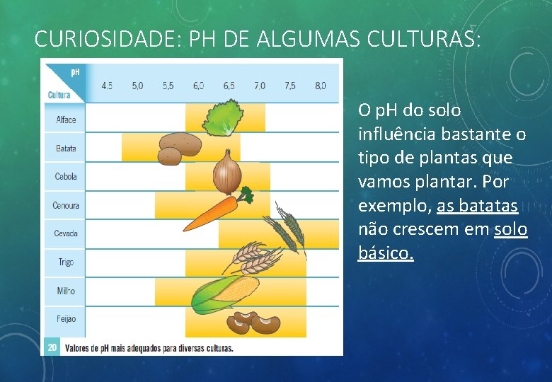 CURIOSIDADE: PH DE ALGUMAS CULTURAS: O p. H do solo influência bastante o tipo