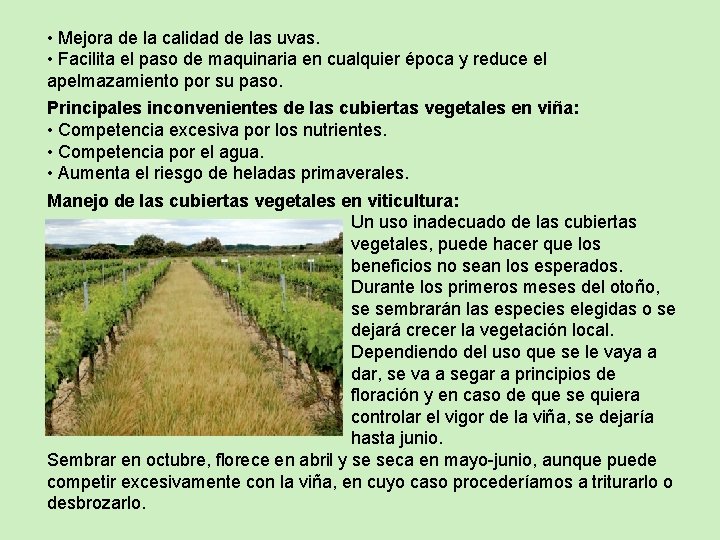  • Mejora de la calidad de las uvas. • Facilita el paso de