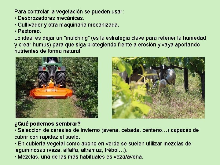 Para controlar la vegetación se pueden usar: • Desbrozadoras mecánicas. • Cultivador y otra