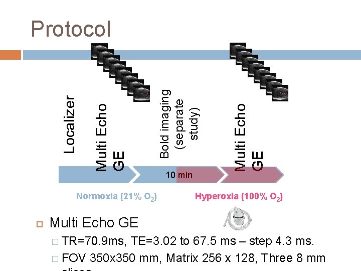 Normoxia (21% O 2) 10 min Multi Echo GE Bold imaging (separate study) Multi Normoxia (21% O 2) 10 min Multi Echo GE Bold imaging (separate study) Multi