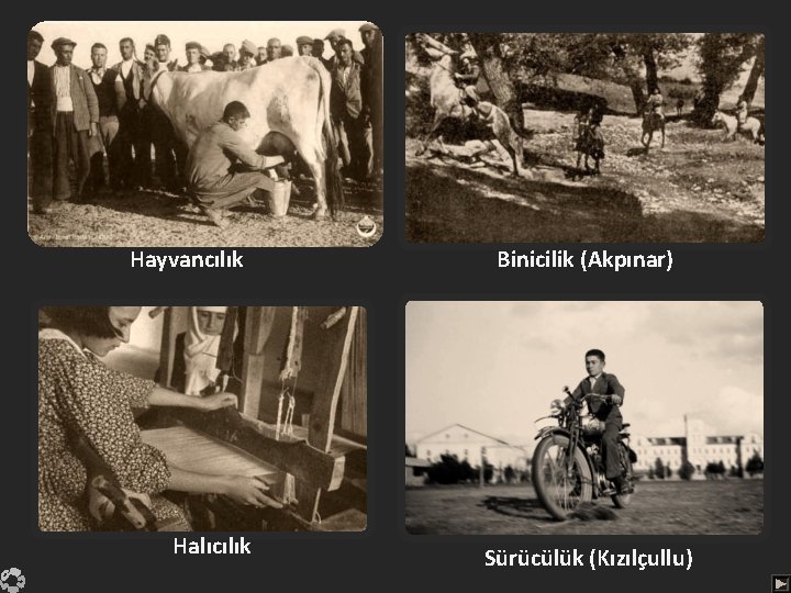 Hayvancılık Halıcılık Binicilik (Akpınar) Sürücülük (Kızılçullu) 