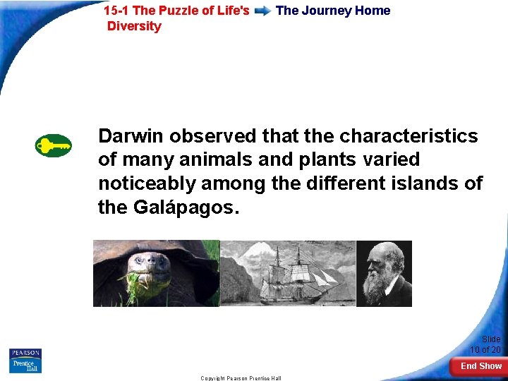 15 -1 The Puzzle of Life's Diversity The Journey Home Darwin observed that the