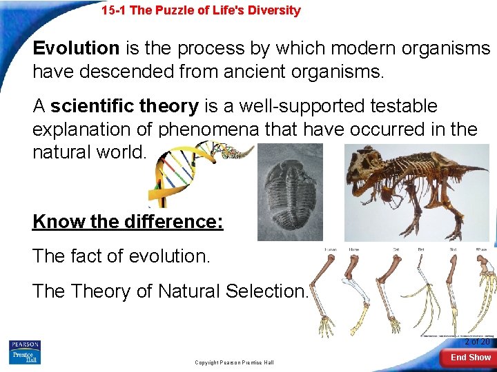 15 -1 The Puzzle of Life's Diversity Evolution is the process by which modern