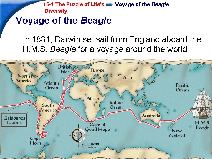 15 -1 The Puzzle of Life's Diversity Voyage of the Beagle In 1831, Darwin